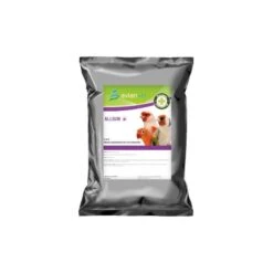 Allium Concentré D'ail Violet En Poudre 500gr - Avianvet