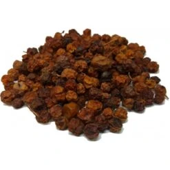 Baie De Sorbier Des Oiseleurs Au Kg - Ornibird 9 Baie De Sorbier Des Oiseleurs Au Kg - Ornibird -Deli Nature Soldes baie de sorbier des oiseleurs au kg ornibird 103041250 kg grizo baie du sorbier en fruit seche dont les becs crochus indigenes e 3