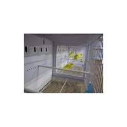 Batterie De 12 Cages 64x30x34 Modèle Champion- New Canariz 26 Batterie De 12 Cages 64x30x34 Modèle Champion- New Canariz -Deli Nature Soldes batterie de 12 cages 64x30x34 modele champion new canariz 3000 new canariz livree avec un systeme de rouleaux de papier comme fo 4