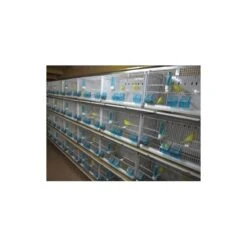 Batterie De 12 Cages 64x30x34 Modèle Champion- New Canariz 30 Batterie De 12 Cages 64x30x34 Modèle Champion- New Canariz -Deli Nature Soldes batterie de 12 cages 64x30x34 modele champion new canariz 3000 new canariz livree avec un systeme de rouleaux de papier comme fo 8