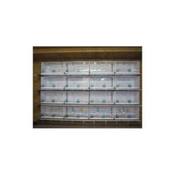 Batterie De 12 Cages 64x30x34 Modèle Champion- New Canariz 31 Batterie De 12 Cages 64x30x34 Modèle Champion- New Canariz -Deli Nature Soldes batterie de 12 cages 64x30x34 modele champion new canariz 3000 new canariz livree avec un systeme de rouleaux de papier comme fo 9