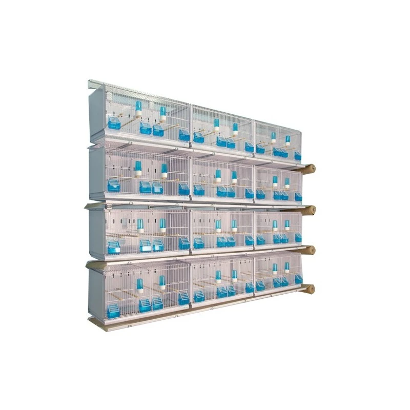 Batterie De 12 Cages 64x30x34 Modèle Champion- New Canariz 3 Batterie De 12 Cages 64x30x34 Modèle Champion- New Canariz