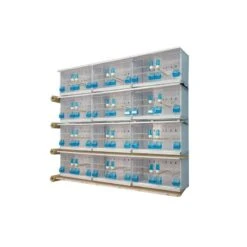 Deli Nature Soldes 21 Batteries De 12 Cages 58x30x36 - New Canariz