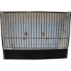 Cage Exposition Caille Noir En PVC 1 Cage Exposition Caille Noir En PVC -Deli Nature Soldes cage exposition caille noir en pvc 87212611 ost belgium cage dexposition pour caille avec facade noire entierement en plastique