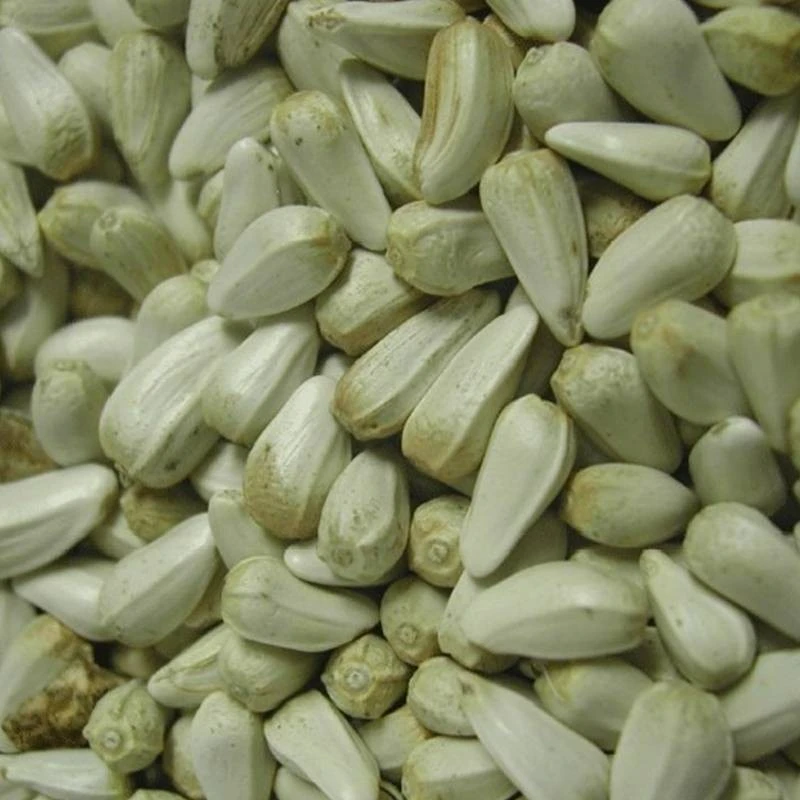 Cardi Extra 15kg - Duvo 4 Cardi Extra 15kg - Duvo – Image 2