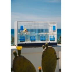 Ensemble De 4 Cages 60x33x33cm Avec Chariot ART.90 - Modèle Einstein - Italgabbie -Deli Nature Soldes ensemble de 4 cages 60x33x33cm avec chariot art90 modele einstein italgabbie art90 4 t italgabbie ensemble de 4 cages a tiroirs 1 1