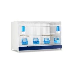 Ensemble De 4 Cages 60x33x33cm Avec Chariot ART.90 - Modèle Einstein - Italgabbie -Deli Nature Soldes ensemble de 4 cages 60x33x33cm avec chariot art90 modele einstein italgabbie art90 4 t italgabbie ensemble de 4 cages a tiroirs 1 2