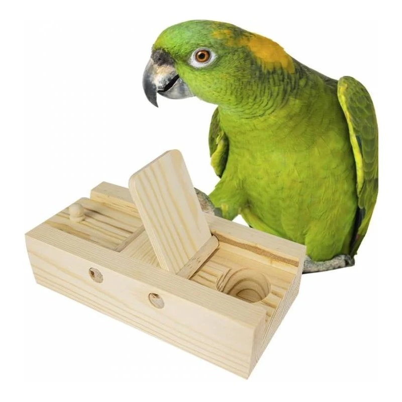 Flaps D'entraînement Cérébral 17,5x8cm - Back Zoo Nature 3 Flaps D'entraînement Cérébral 17,5x8cm - Back Zoo Nature