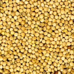 Millet Blanc Extra 20kg - Duvo 5 Millet Blanc Extra 20kg - Duvo -Deli Nature Soldes millet blanc extra 20kg duvo 570 duvo millet blanc extra 20kg duvo 1