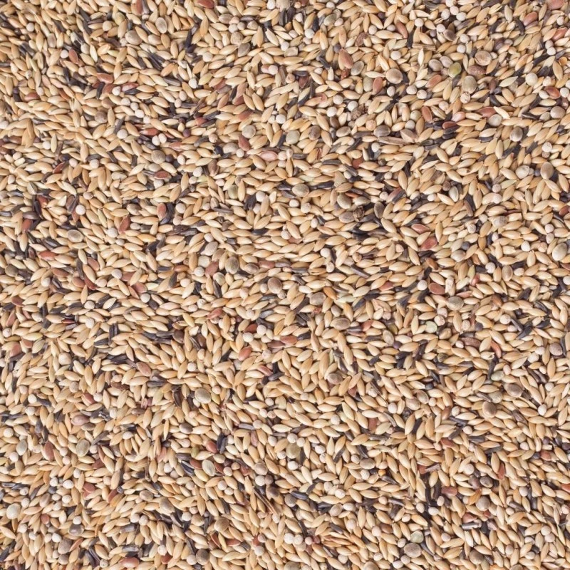 N°54 Canaris Elevage Avec Perilla Blanc 20kg - Deli Nature 4 N°54 Canaris Elevage Avec Perilla Blanc 20kg - Deli Nature – Image 2