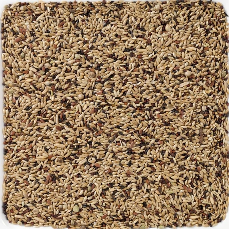 N°55 Canaris Supreme 20kg - Deli Nature 4 N°55 Canaris Supreme 20kg - Deli Nature – Image 2