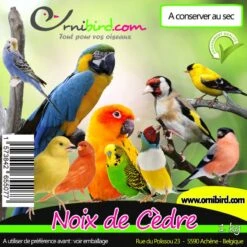 Noix De Cèdre Au Kg - Ornibird 5 Noix De Cèdre Au Kg - Ornibird -Deli Nature Soldes noix de cedre au kg ornibird 103013250 kg private label ornibird noix de cedre au kg ornibird 1