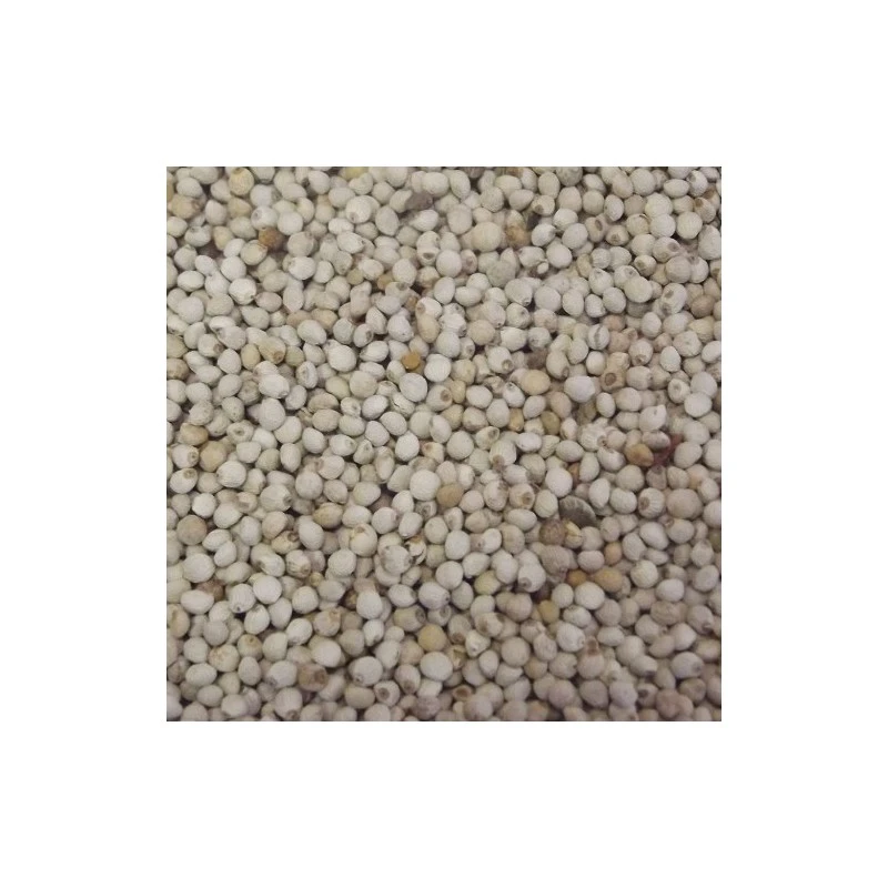 Deli Nature Perilla Blanc Au Kg - Ornibird 6 Deli Nature Perilla Blanc Au Kg - Ornibird – Image 4