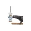 Push And Pull - Pousser Et Tirer 35,5cm - Avonturia -Deli Nature Soldes push and pull pousser et tirer 355cm avonturia ca00753 back zoo nature push and pull pousser et tirerremplissez le dessus avec l