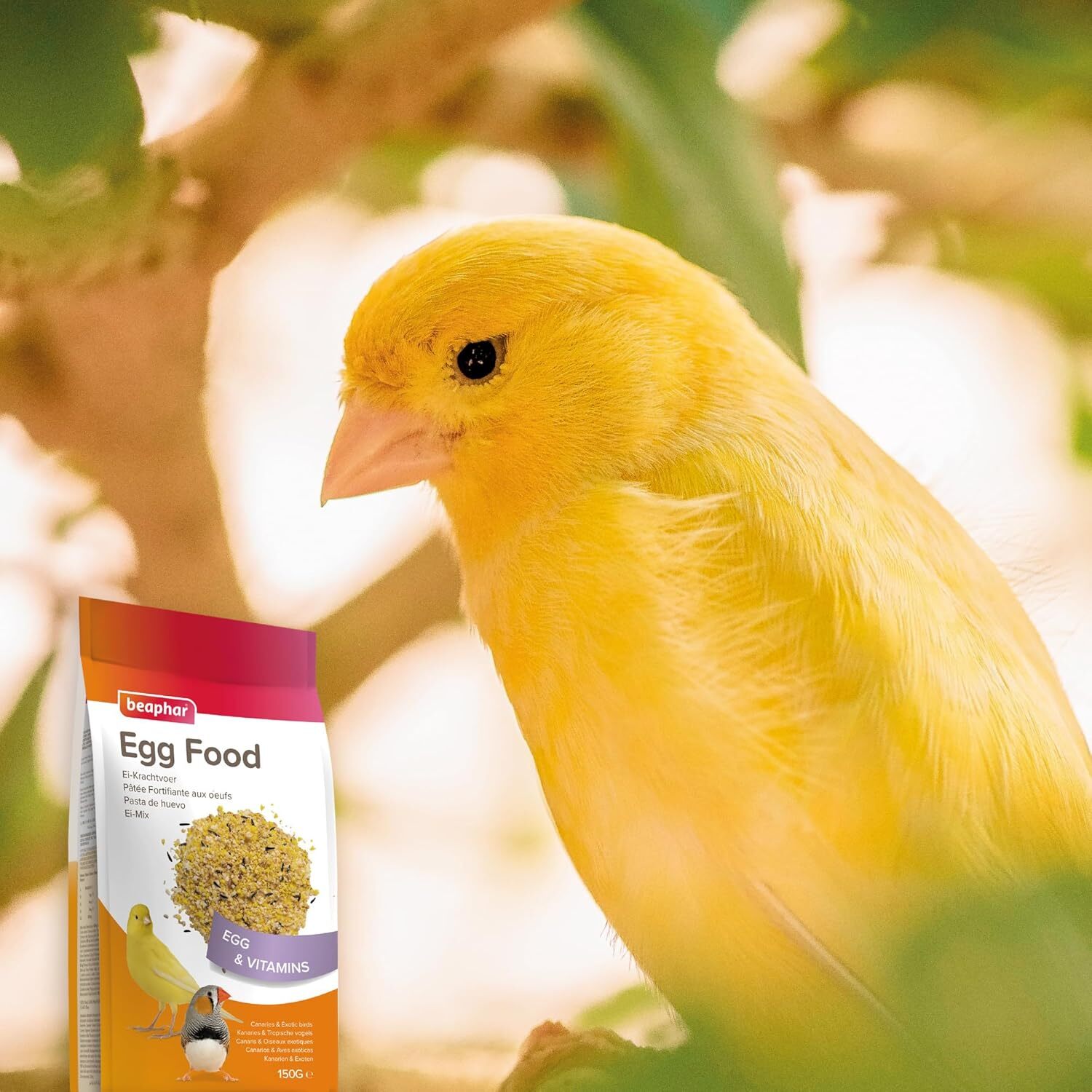 Deli Nature Soldes 26 Deli Nature Soldes -Deli Nature Soldes 66ec3a7f019ff8.42051109.original